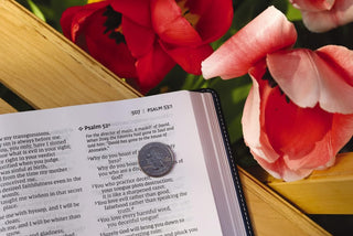 Niv, Thinline Bible, Leathersoft, Brown, Red Letter, Comfort Print