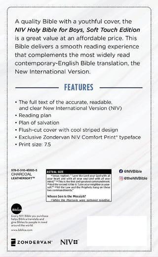 NIV, Holy Bible For Boys