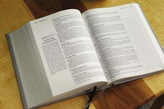 The Jesus Bible, NIV Edition, Cloth Over Board, Gray Linen, Comfort Print