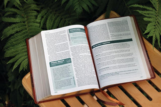 Rooted: The NIV Bible for Men, Leathersoft, Brown, Comfort Print