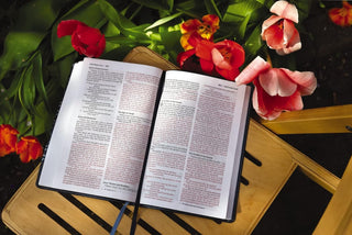 Niv, Thinline Bible, Leathersoft, Brown, Red Letter, Comfort Print