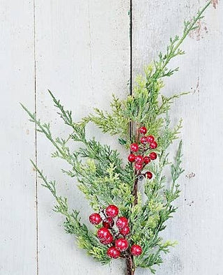 ISB78032- 26in Snowy Cedar and Red Berry Spray-