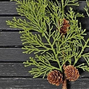 ISB68215- 20in Fresh looking Cedar pine Spray