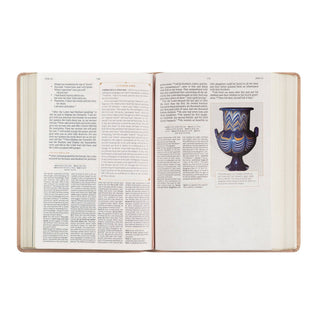 CSB Women's Study Bible: Sonora Theme