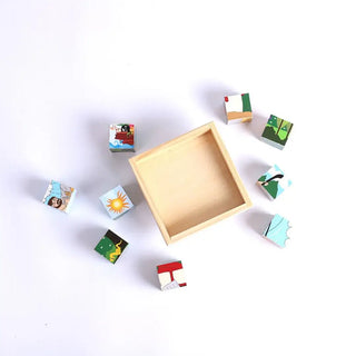 Puzzle Wood 6 Block Bible