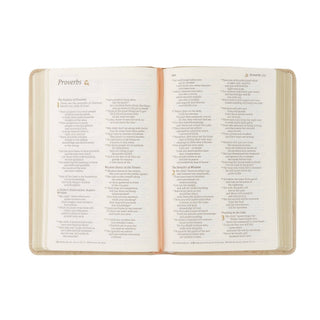 NLT Compact Bible: Sonora Theme