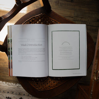 Fresh Start | 2 Week Study | Finding Peace in Christ for the Year Ahead