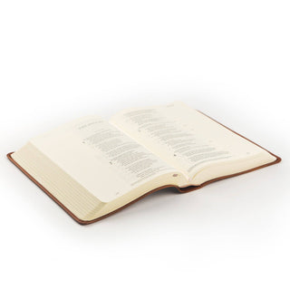 ESV Single Column Journaling Bible: Sierra Theme
