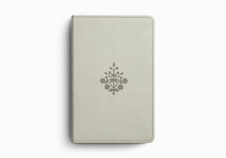 ESV Large Print Value Thinline Bible (TruTone, River Stone)
