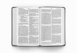ESV Large Print Value Thinline Bible, TruTone®, Celtic Cross