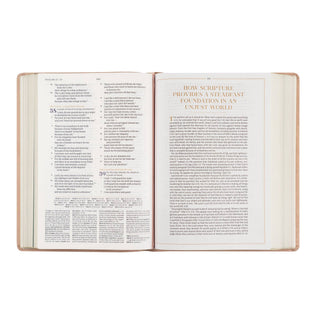 CSB Women's Study Bible: Sonora Theme