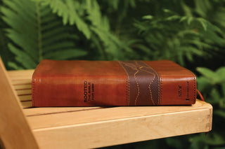 Rooted: The NIV Bible for Men, Leathersoft, Brown, Comfort Print