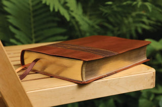 Rooted: The NIV Bible for Men, Leathersoft, Brown, Comfort Print