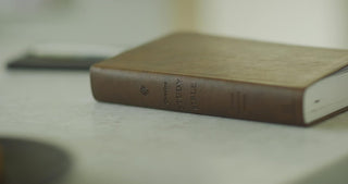 ESV Concise Study Bible (TruTone)