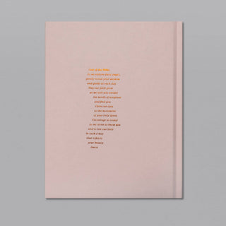 A Beautiful Year in the Bible: The 52-Week Bible Study for Women