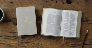 ESV Compact Bible, TruTone®, Stone, Branch Design