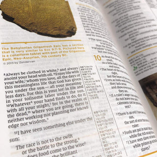 NIV Study Bible, Fully Revised Edition (Study Deeply. Believe Wholeheartedly.), Personal Size, Hardcover, Red Letter, Comfort Print