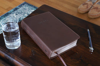 NIV, Foundation Study Bible, Leathersoft, Brown, Red Letter