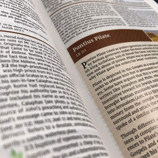 NIV Study Bible, Fully Revised Edition (Study Deeply. Believe Wholeheartedly.), Personal Size, Hardcover, Red Letter, Comfort Print