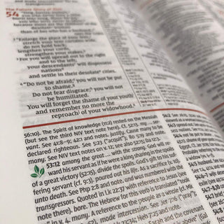 NIV Study Bible, Fully Revised Edition (Study Deeply. Believe Wholeheartedly.), Personal Size, Hardcover, Red Letter, Comfort Print