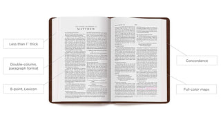 ESV Thinline Bible (TruTone, Royal Lion)