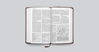 ESV Concise Study Bible (TruTone)