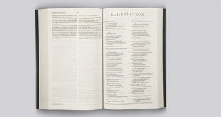 ESV Thinline Bible (TruTone, Royal Lion)