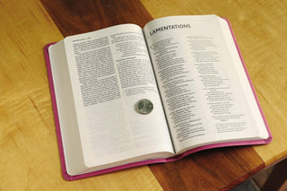 NIV, Value Thinline Bible, Leathersoft, Pink, Comfort Print