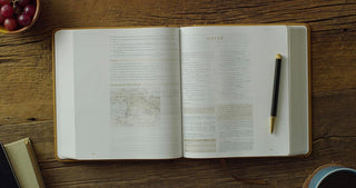 ESV Journaling Study Bible (TruTone over Board, Nubuck Caramel)