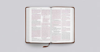 ESV Thinline Bible (TruTone, Royal Lion)