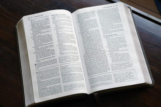 NIV, Foundation Study Bible, Leathersoft, Brown, Red Letter