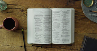 ESV Large Print Value Thinline Bible (TruTone, River Stone)