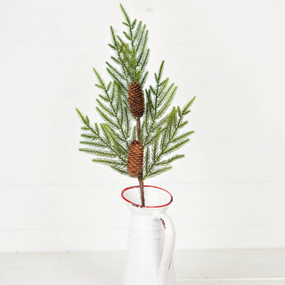 510076- 29in Branch-Evergreen Norfolk Pine w.Long Pinecones-