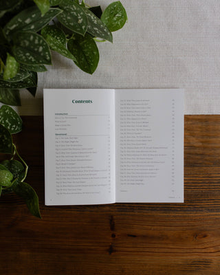 From the Darkest Night to the Brightest Day: The Story of the Sad Day Jesus Died and the Joyful Day He Rose Again | A 40-Day Family Devotional