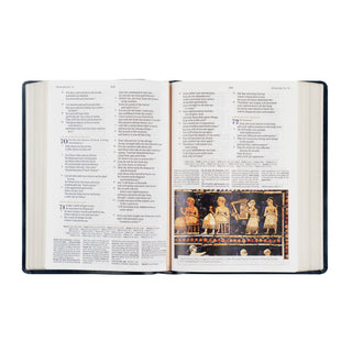 CSB Women's Study Bible: Versailles Theme