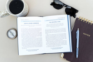 Daily Wisdom for Men 2027 Devotional Collection