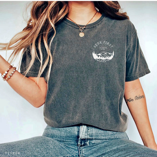 Seek First The Kingdom Comfort Colors T-Shirt: June 2026