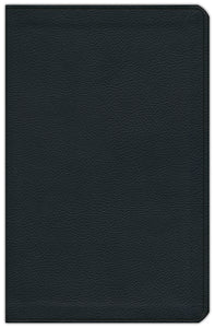 ESV Value Thinline Bible--soft leather-look, navy