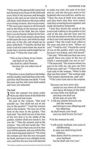 ESV Large-Print Value Thinline Bible--soft leather-look, camel