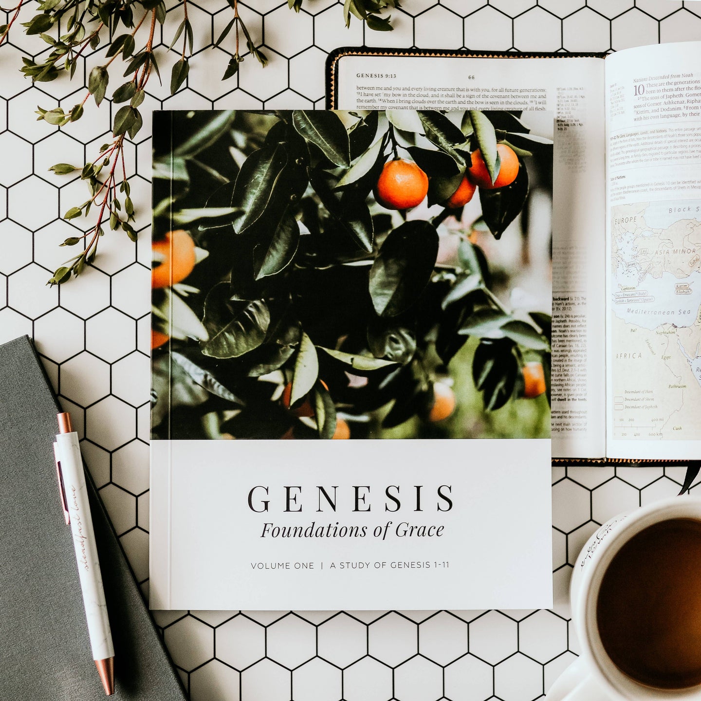 Genesis Vol. 1 - Foundations of Grace