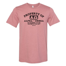 Property Of Alpha & Omega Toddler and Youth T-Shirt