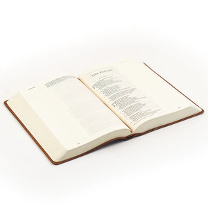 ESV Large Print Journaling Bible : Sierra Theme